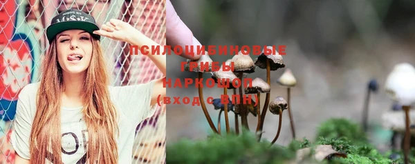 МДМА Гусиноозёрск