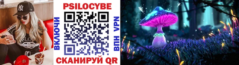 купить наркотики цена  Ростов  Псилоцибиновые грибы MAGIC MUSHROOMS 